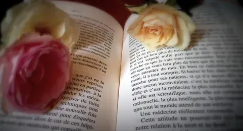 Channeling à Beaucaire